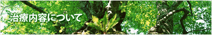 治療内容について